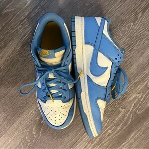 Nike Dunk Coast